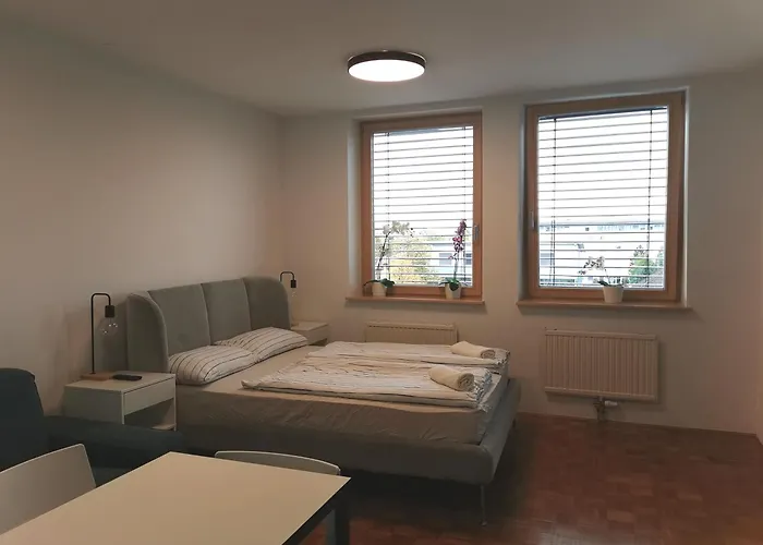 Διαμέρισμα Dunajska *